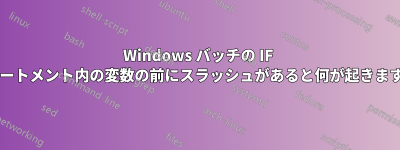 Windows バッチの IF ステートメント内の変数の前にスラッシュがあると何が起きますか?