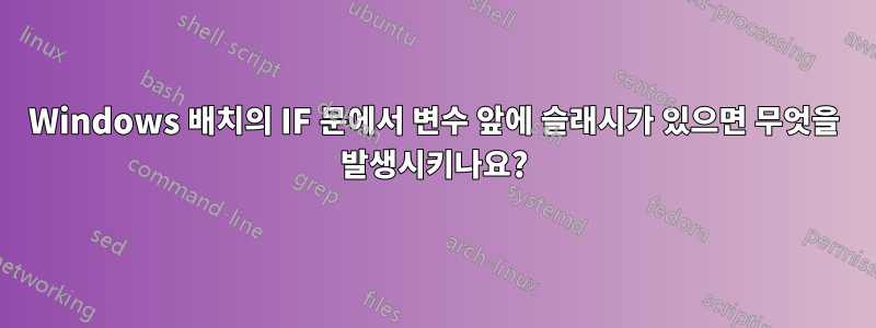 Windows 배치의 IF 문에서 변수 앞에 슬래시가 있으면 무엇을 발생시키나요?