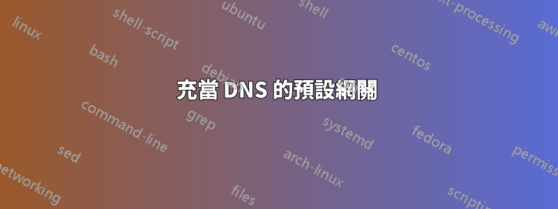 充當 DNS 的預設網關