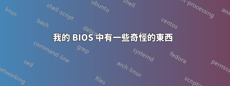 我的 BIOS 中有一些奇怪的東西 