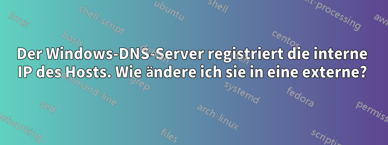 Der Windows-DNS-Server registriert die interne IP des Hosts. Wie ändere ich sie in eine externe?