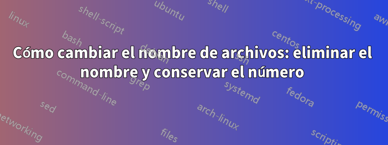 Cómo cambiar el nombre de archivos: eliminar el nombre y conservar el número