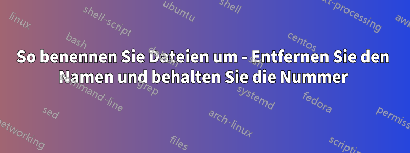 So benennen Sie Dateien um - Entfernen Sie den Namen und behalten Sie die Nummer