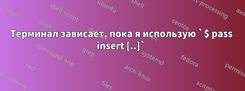 Терминал зависает, пока я использую `$ pass insert [..]`