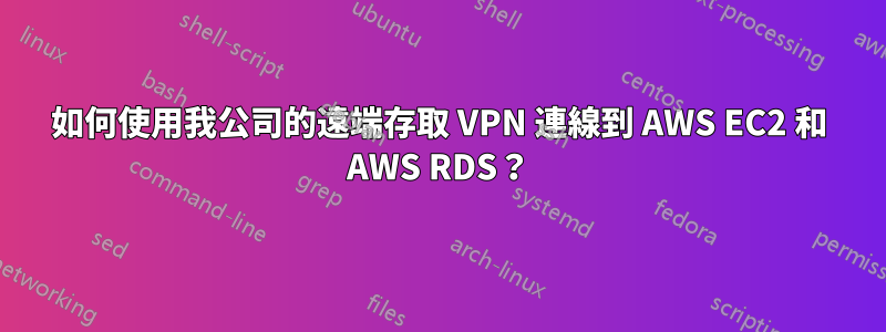 如何使用我公司的遠端存取 VPN 連線到 AWS EC2 和 AWS RDS？