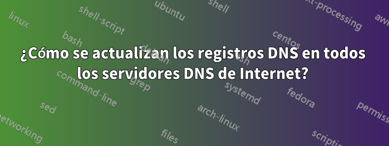 ¿Cómo se actualizan los registros DNS en todos los servidores DNS de Internet?