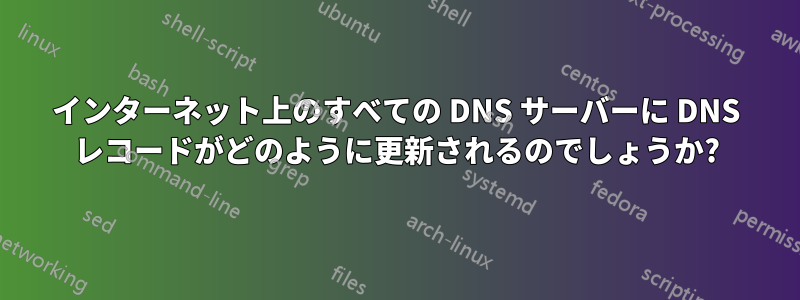 インターネット上のすべての DNS サーバーに DNS レコードがどのように更新されるのでしょうか?