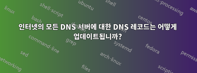 인터넷의 모든 DNS 서버에 대한 DNS 레코드는 어떻게 업데이트됩니까?