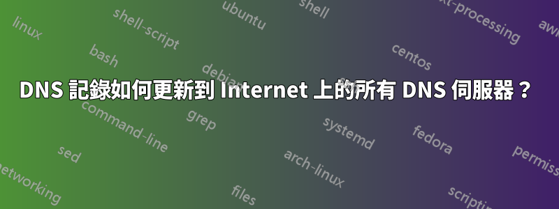 DNS 記錄如何更新到 Internet 上的所有 DNS 伺服器？