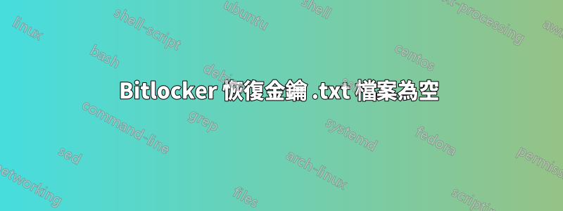 Bitlocker 恢復金鑰 .txt 檔案為空