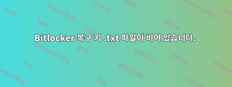 Bitlocker 복구 키 .txt 파일이 비어 있습니다.