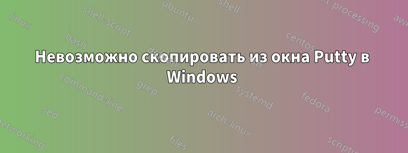 Невозможно скопировать из окна Putty в Windows