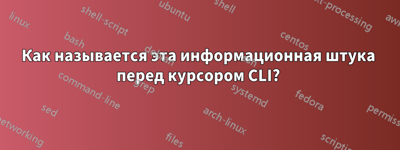 Как называется эта информационная штука перед курсором CLI?