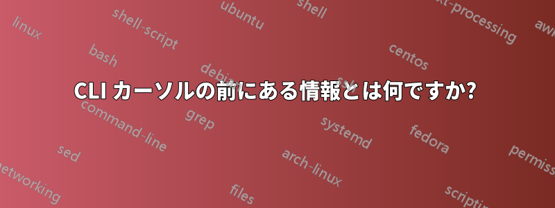 CLI カーソルの前にある情報とは何ですか?