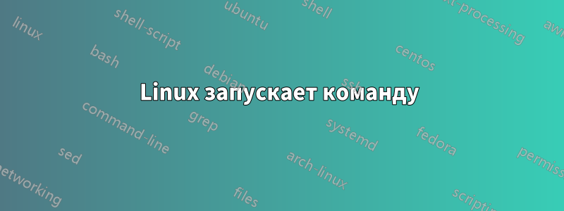 Linux запускает команду