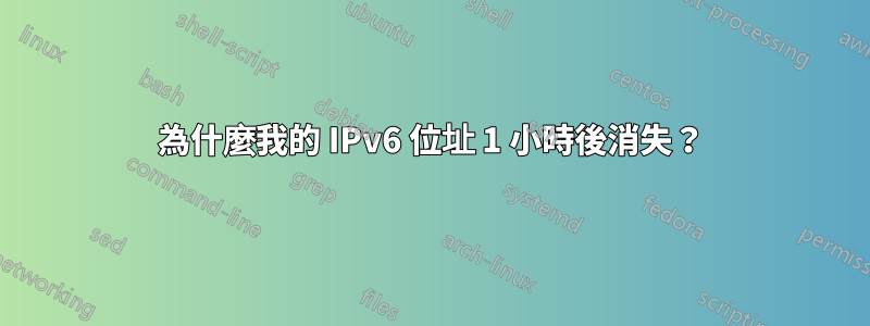 為什麼我的 IPv6 位址 1 小時後消失？