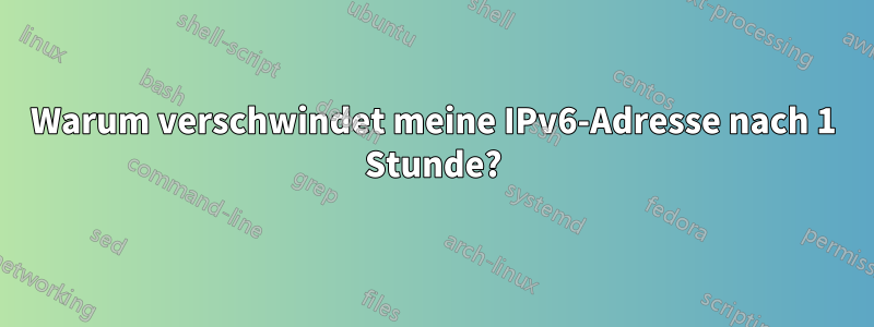 Warum verschwindet meine IPv6-Adresse nach 1 Stunde?