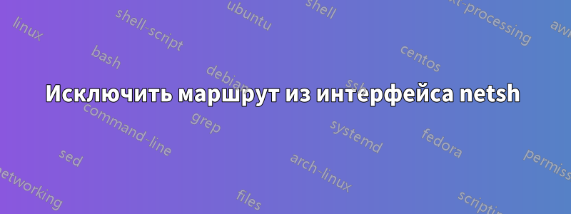 Исключить маршрут из интерфейса netsh