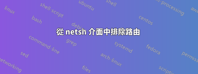 從 netsh 介面中排除路由