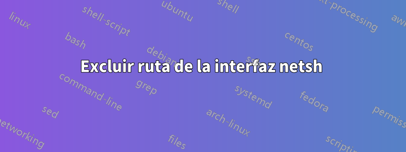 Excluir ruta de la interfaz netsh