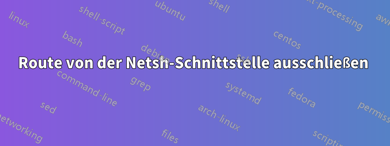 Route von der Netsh-Schnittstelle ausschließen