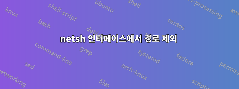 netsh 인터페이스에서 경로 제외