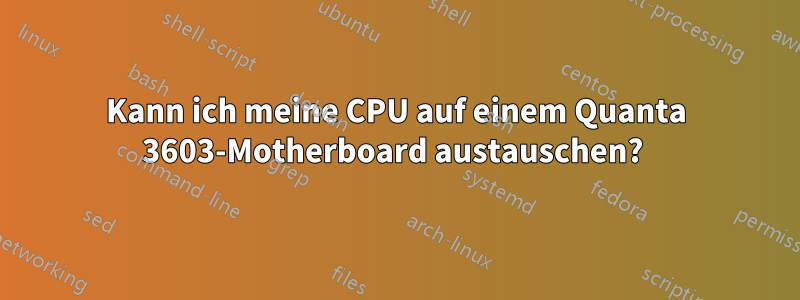 Kann ich meine CPU auf einem Quanta 3603-Motherboard austauschen? 