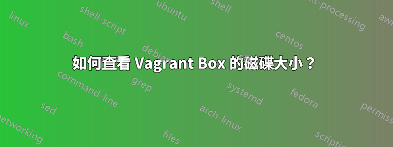 如何查看 Vagrant Box 的磁碟大小？