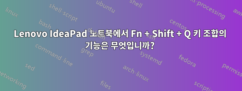 Lenovo IdeaPad 노트북에서 Fn + Shift + Q 키 조합의 기능은 무엇입니까?