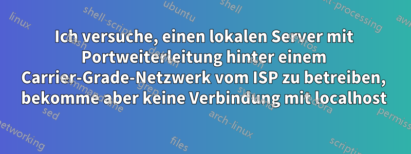 Ich versuche, einen lokalen Server mit Portweiterleitung hinter einem Carrier-Grade-Netzwerk vom ISP zu betreiben, bekomme aber keine Verbindung mit localhost