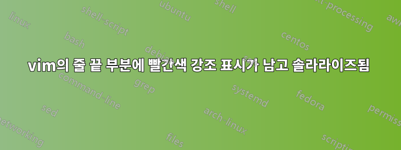 vim의 줄 끝 부분에 빨간색 강조 표시가 남고 솔라라이즈됨