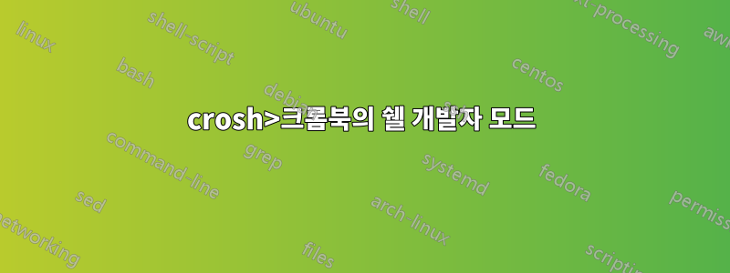 crosh>크롬북의 쉘 개발자 모드