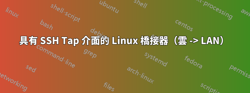 具有 SSH Tap 介面的 Linux 橋接器（雲 -> LAN）