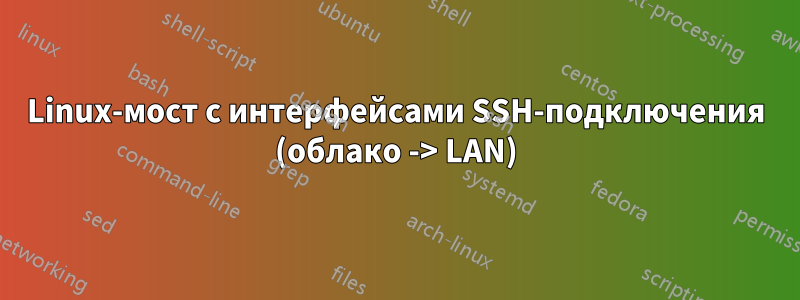 Linux-мост с интерфейсами SSH-подключения (облако -> LAN)