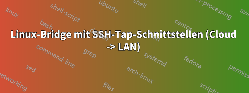 Linux-Bridge mit SSH-Tap-Schnittstellen (Cloud -> LAN)