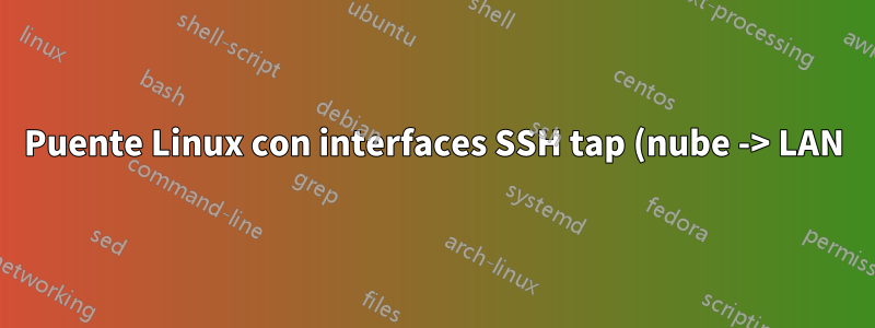 Puente Linux con interfaces SSH tap (nube -> LAN)