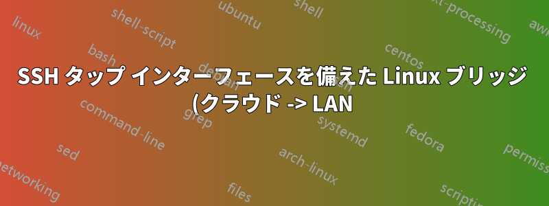 SSH タップ インターフェースを備えた Linux ブリッジ (クラウド -> LAN)