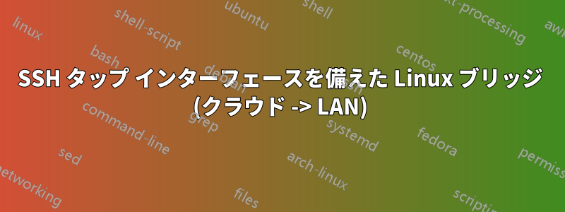 SSH タップ インターフェースを備えた Linux ブリッジ (クラウド -> LAN)