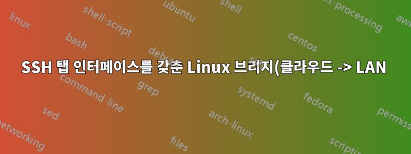 SSH 탭 인터페이스를 갖춘 Linux 브리지(클라우드 -> LAN)
