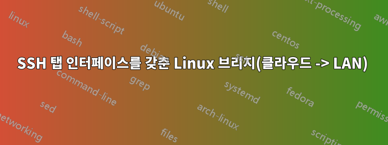 SSH 탭 인터페이스를 갖춘 Linux 브리지(클라우드 -> LAN)