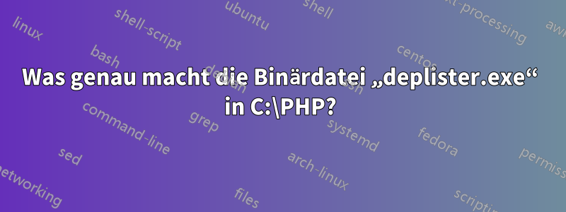 Was genau macht die Binärdatei „deplister.exe“ in C:\PHP?