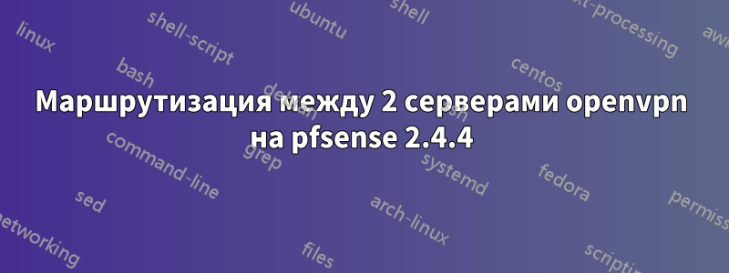 Маршрутизация между 2 серверами openvpn на pfsense 2.4.4