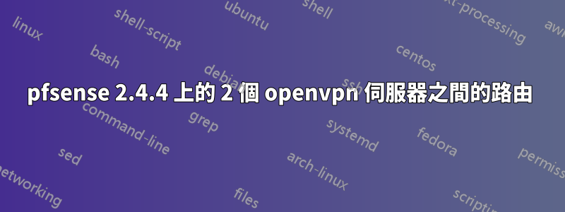 pfsense 2.4.4 上的 2 個 openvpn 伺服器之間的路由