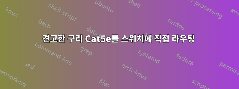 견고한 구리 Cat5e를 스위치에 직접 라우팅