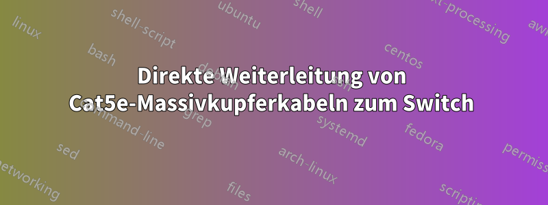 Direkte Weiterleitung von Cat5e-Massivkupferkabeln zum Switch