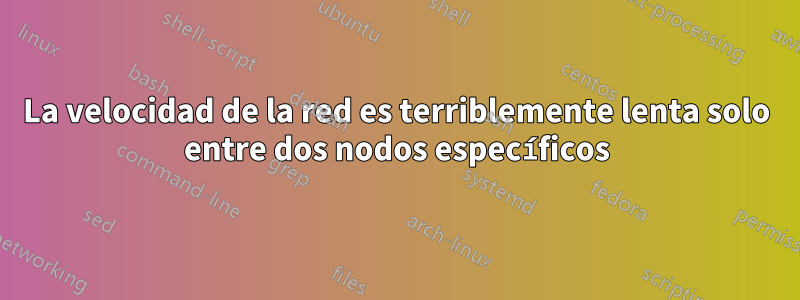 La velocidad de la red es terriblemente lenta solo entre dos nodos específicos