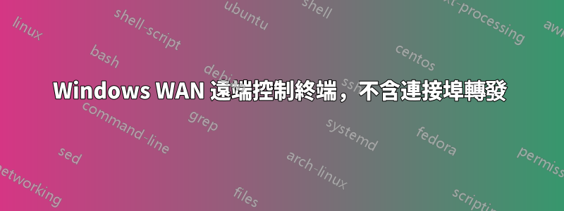 Windows WAN 遠端控制終端，不含連接埠轉發