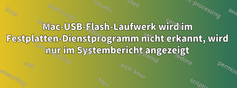 Mac-USB-Flash-Laufwerk wird im Festplatten-Dienstprogramm nicht erkannt, wird nur im Systembericht angezeigt