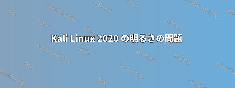 Kali Linux 2020 の明るさの問題