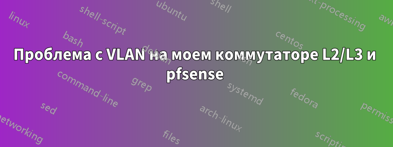 Проблема с VLAN на моем коммутаторе L2/L3 и pfsense